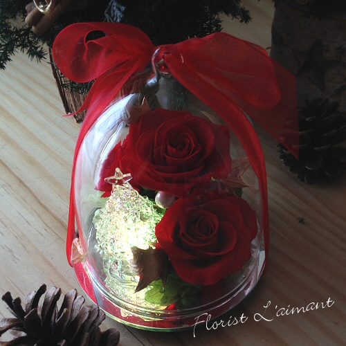 レインボードーム・ツリー03