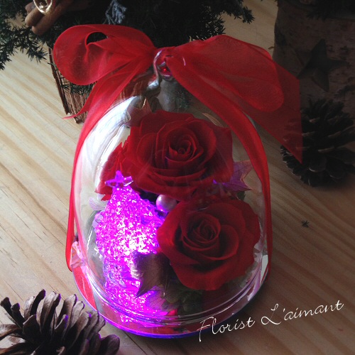 レインボードーム・ツリー04