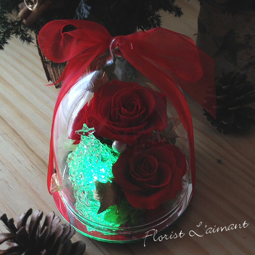 レインボードーム・ツリー06