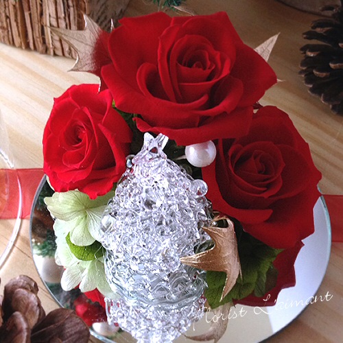 レインボードーム・ツリー09