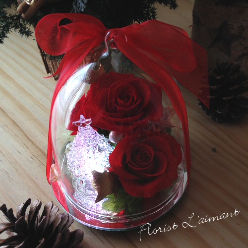 レインボードーム・ツリー07