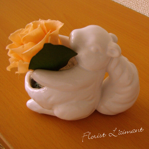 スマイルチッピー（オレンジ）【プリザーブドフラワー】