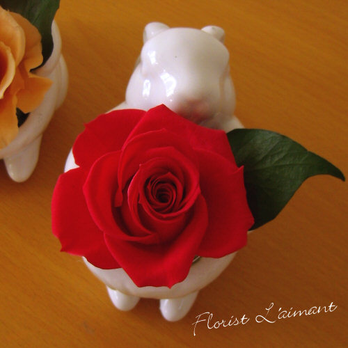 スマイルチッピー（レッド）