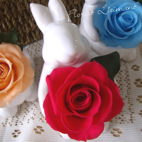 サンクスラビット（レッド）