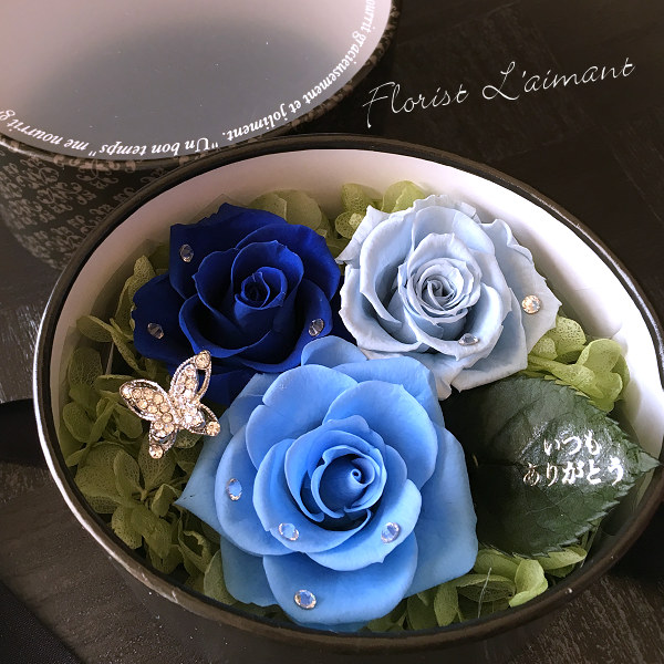 トリプレット（ブルー）01