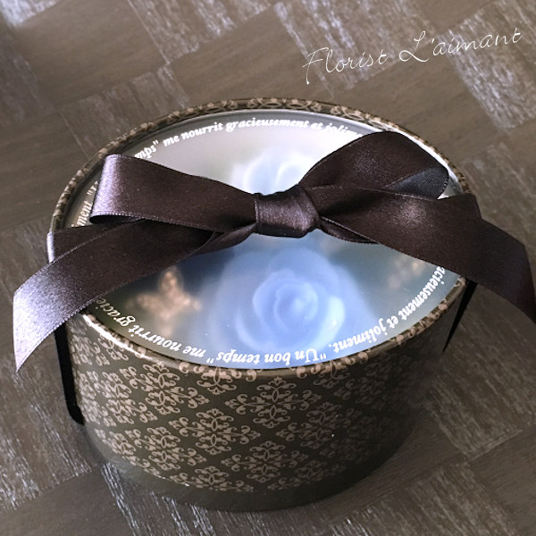 トリプレット（ブルー）02