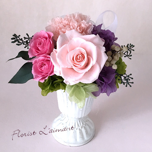 メヌエット（ピンク）01