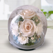 グレイス（ホワイト）01