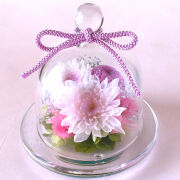プリザーブドフラワー お供え 仏花 お洒落 蘭 デンファレ 菊 |フウガ