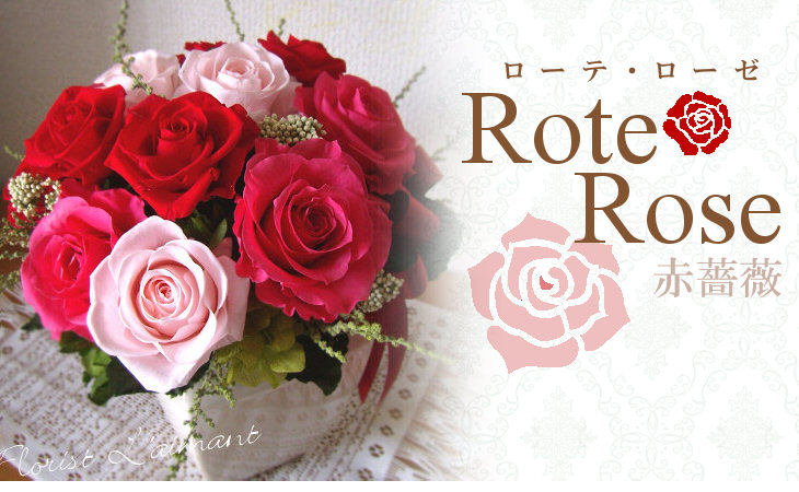 ローテ・ローゼ（レッド）【プリザーブドフラワー】