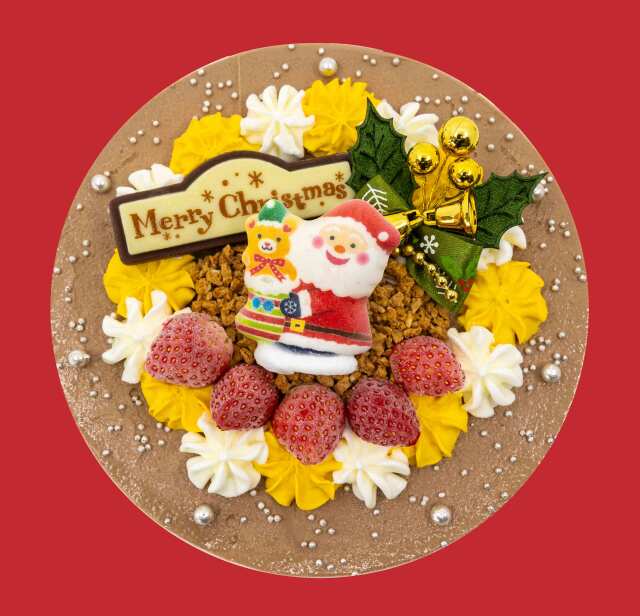 【予約受付11/10~12/18】クリスマスアイスケーキB クリスマスショコラ