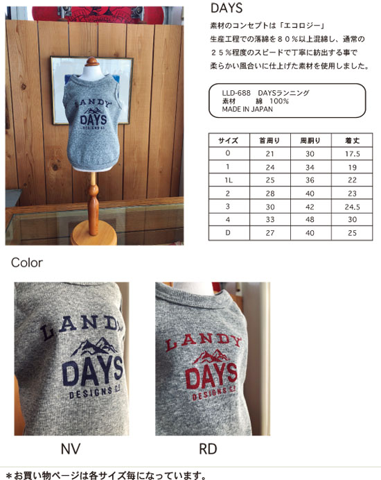 DAYSランニング1号