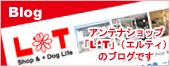 浜松市にあるLandｙLandy（LandyLarickDesign)のアンテナショップ「L*T」（エルティ）のBlogです☆