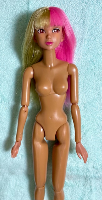 PetWORKS CCS 25AN momoko bk ヌードドール