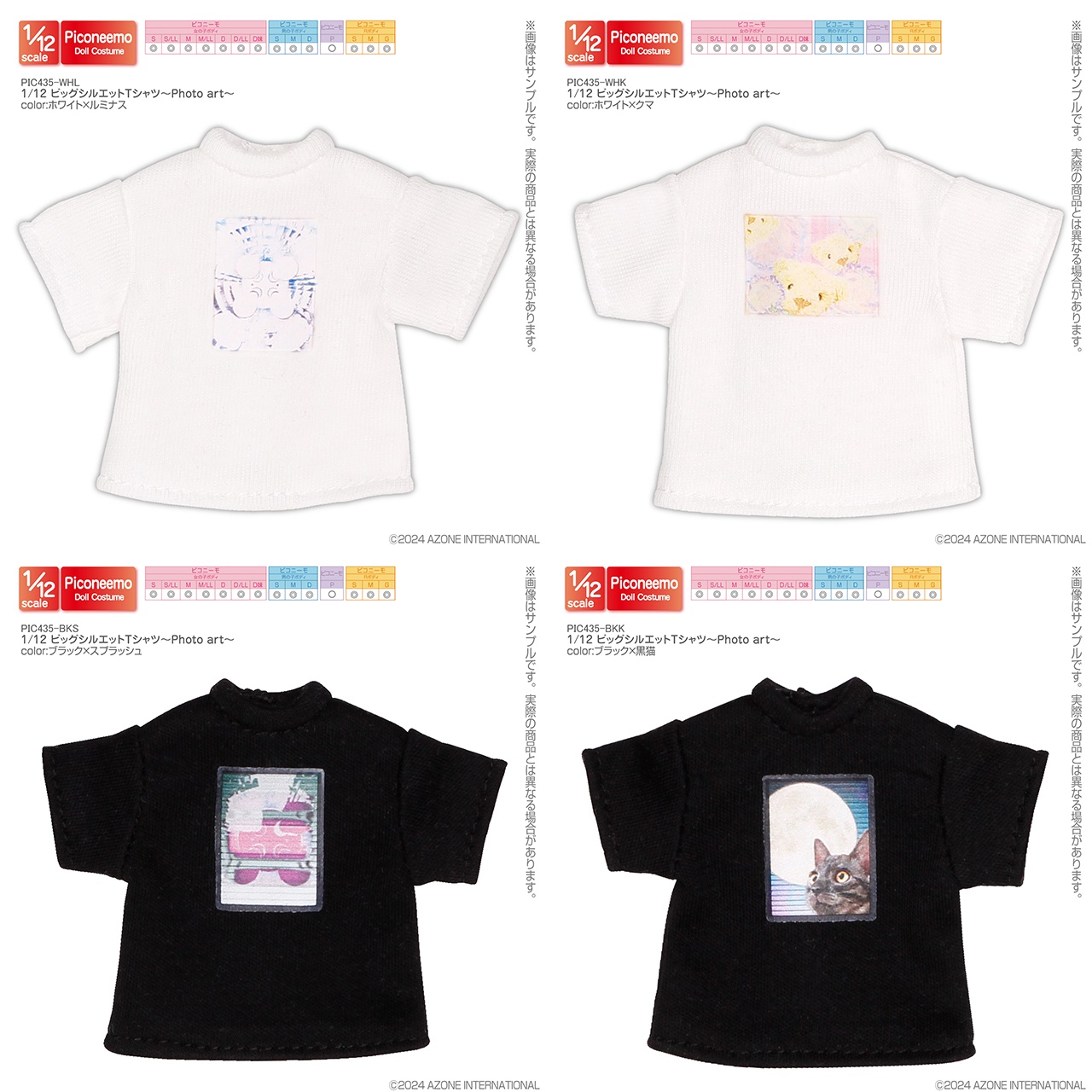 1／12 ビッグシルエットTシャツ～Photo art～ PIC435