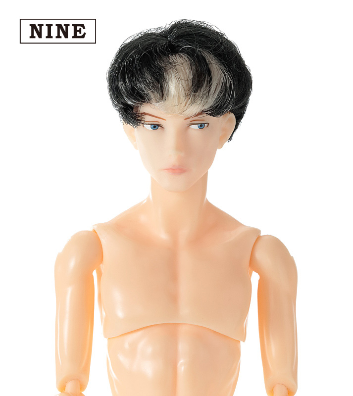 PetWORKS 六分の一男子図鑑　B2403 ナイン [1024031]
