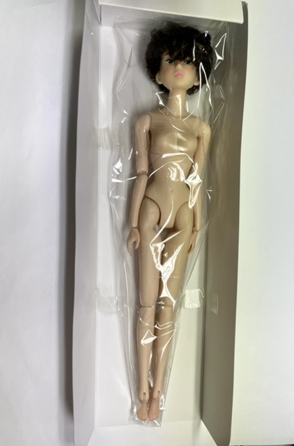 ★セール★PetWORKS CCS 22AN momoko ヌードドール