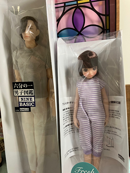 PetWORKs Fresh ruruko 2603 ＆六分の一男子図鑑　B2109 ナイン