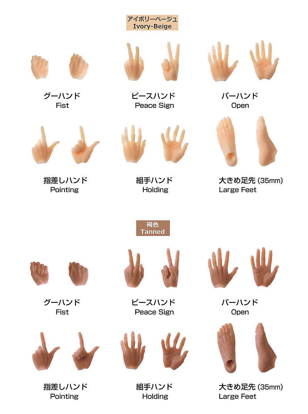 PetWORKS 六分の一男子図鑑 PW-28/29BODY手先・足先セット EX