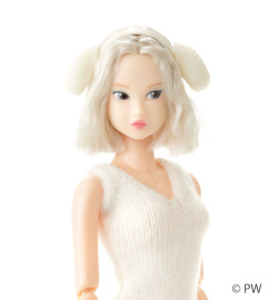 【予約】12月発売予定 PetWORKS CCS 27干支 momoko 未