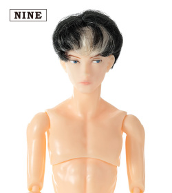PetWORKS 六分の一男子図鑑　B2403 ナイン [1024031]