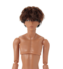 [予約]8月発売予定 PetWORKS 六分の一男子図鑑　B2508 エイト
