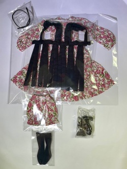 PetWORKS CCS 25SS momoko アウトフィット