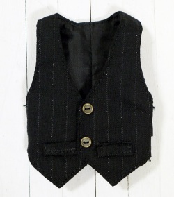 HS ピンストライプベスト/イスルサイズit008