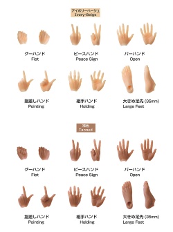 PetWORKS 六分の一男子図鑑 PW-28/29BODY手先・足先セット EX