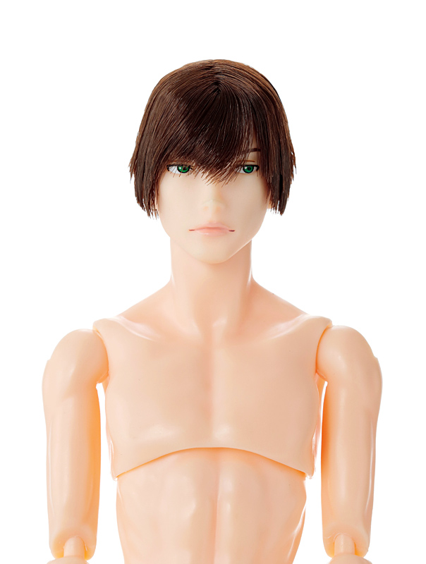 六分の一男子図鑑　本体のみ① 六分の一男子図鑑 B2403 エイト | 六分の一男子図鑑 | PetWORKs