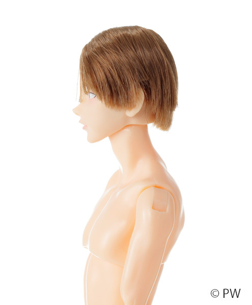 PetWORKs 六分の一男子図鑑 B2608 エイト