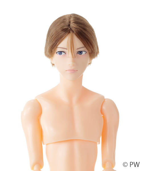 PetWORKs 六分の一男子図鑑 B2608 エイト