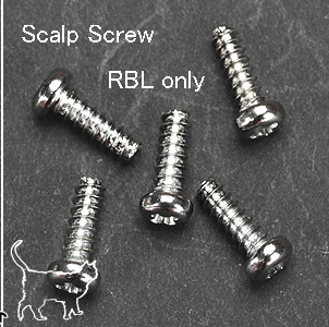 ネオブライスヘッド用ネジ4本セット（Small）Scalp Screw 4mm
