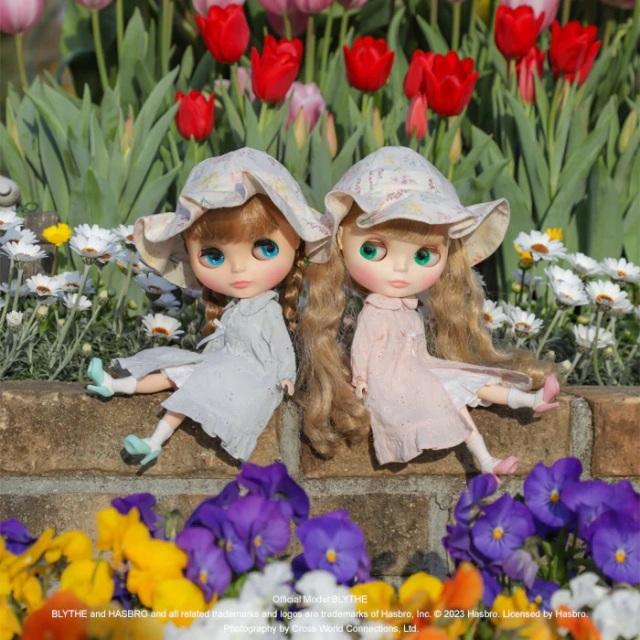 Dear Darling fashion for dolls「ローンレースガウン」/ フレア