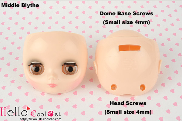 ネオブライスヘッド用ネジ4本セット（Small）Scalp Screw 4mm