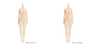 【26BD-F01L】26cmオビツボディ バストサイズL