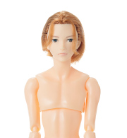 六分の一男子図鑑