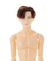 PetWORKS 六分の一男子図鑑 カジュアルテック ナインヌードドール