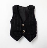 HS ピンストライプベスト イスルサイズ
