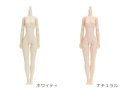 【26BD-F01】26cmオビツボディ バストサイズＭ