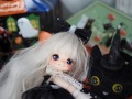 花かごの小部屋 OBヘッド OTOKO 悪魔白猫 Happy Halloween！
