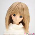 【DM-01】DD／MDD HP Wavy bob wigs # Hazel Fruit   