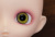 Harmonia bloom blooming palette (twilight)