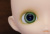 Harmonia bloom blooming palette (dawn)