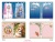 ブライス「A5ダブルポケットファイル2枚セット」
