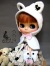 CCT Meow meow meowc551ａ