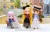 Dear Darling fashion for dolls「チュールロングスカート」