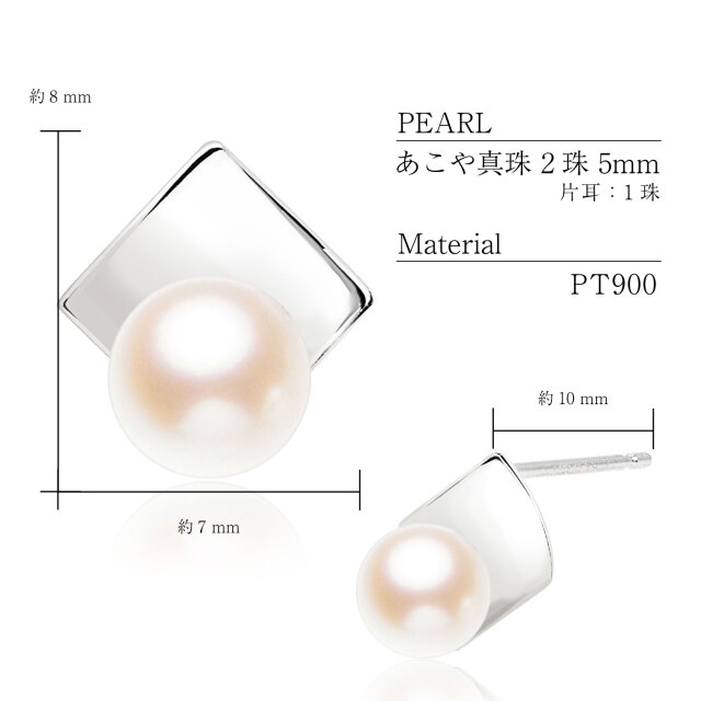 スプリングコレクション