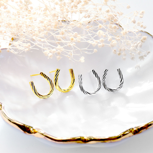 ピアス レディース 地金 馬蹄