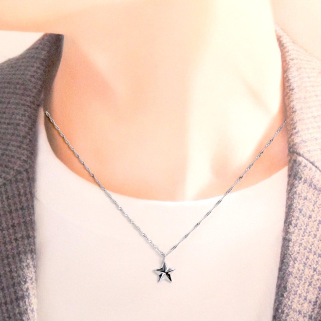 ペンダントトップ ステラ 星 レディース メンズ PT900 プラチナ ネックレス lp56-0032-pt